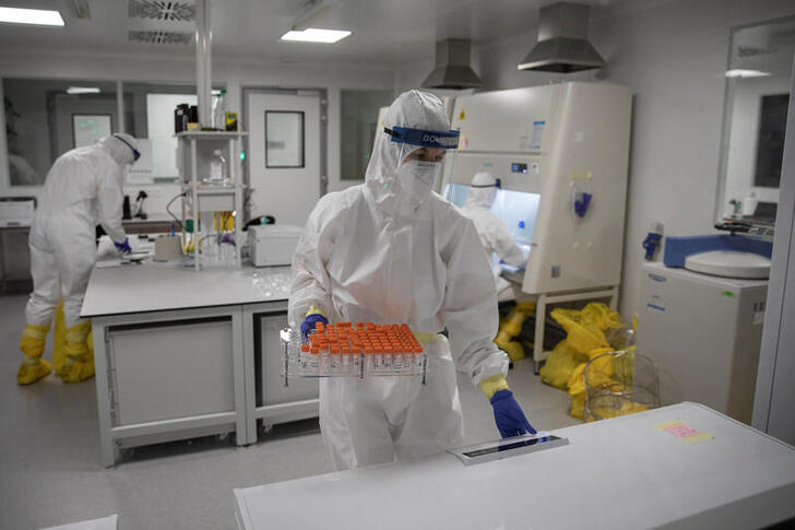 FILE PHOTO: Scientists work with samples taken for testing for the coronavirus disease (COVID-19) in the 