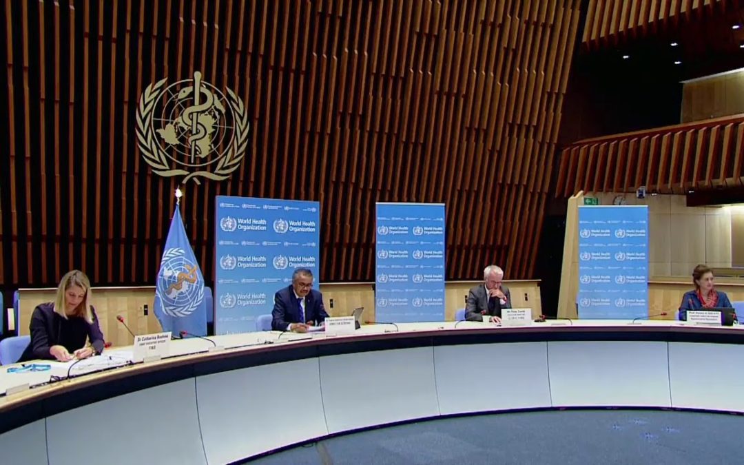 LIVE: WHO holds briefing on COVID-19 as global cases surpass 33 million