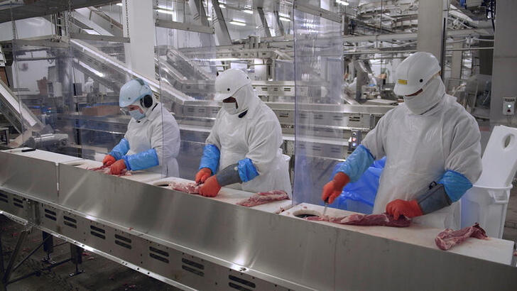 Olymel employees work in one of the companyÕs Quebec hog-slaughtering plants in Yamachiche, Quebec, Canada in July 2020. Picture taken in July 2020. Courtesy of Olymel/Handout via REUTERS.  NO RESALES. NO ARCHIVES THIS IMAGE HAS BEEN SUPPLIED BY A THIRD PARTY.