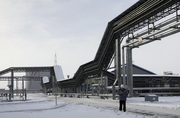 An oil storage tank of Russian oil pipeline monopoly Transneft is pictured at the Baltic Sea port of Ust-Luga, Russia February 26, 2018. REUTERS/Vladimir Soldatkin