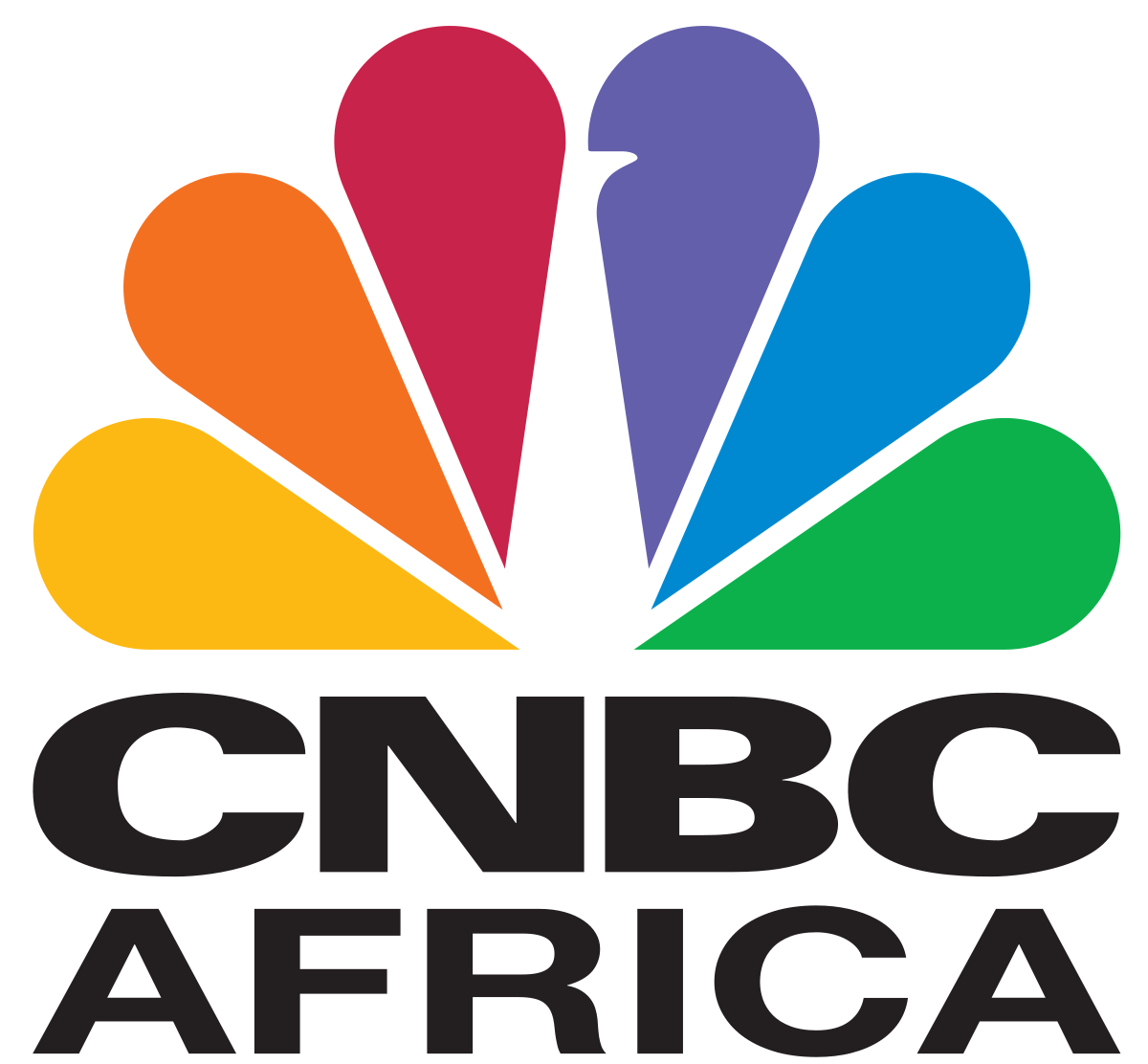 CNBC_Africa.svg.png