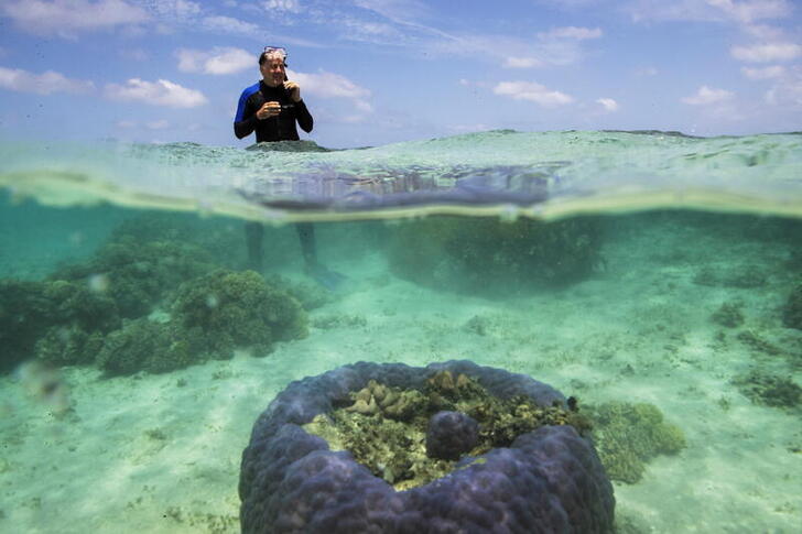 Ken Caldeira, an atmospheric scientist at the Carnegie Institution for Science's Department of Global Ecology, works at a research station on Lizard Island off the coast of Queensland, Australia on October 22, 2019. Picture taken October 22, 2019. To match Special Report CLIMATE-CHANGE/SCIENTISTS-CALDEIRA REUTERS/Lucas Jackson