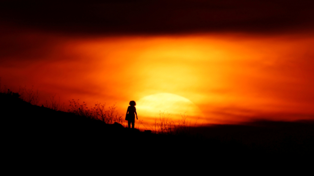 Woman walks her dog at sunset in Pembroke