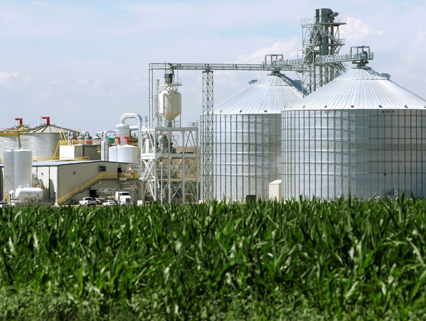 Biofuel-mandate