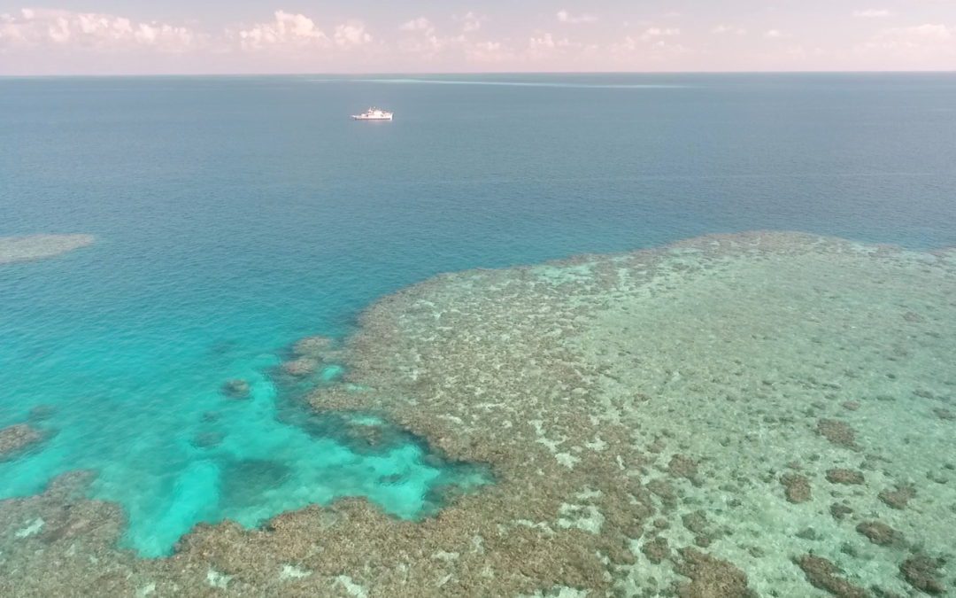 Little fluffy clouds may help save Australia’s Great Barrier Reef