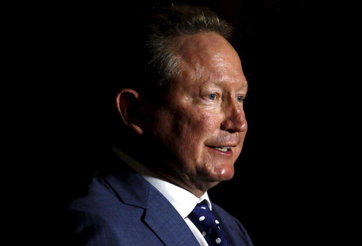 FILE PHOTO: Andrew Forrest, chairman of Fortescue Metals Group, speaks during a media conference in Sydney, Australia, July 28, 2015. REUTERS/David Gray/File Photo