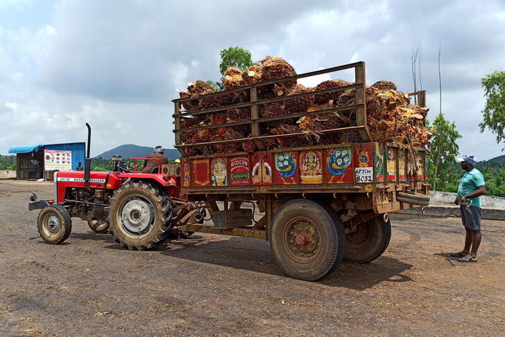 A farmer prepares to unload oil palm bunches from a tractor trolley in a mill at Dwaraka Tirumala in the southern state of Andhra Pradesh, India, September 1, 2021. Picture taken September 1, 2021. REUTERS/Rajendra Jadhav