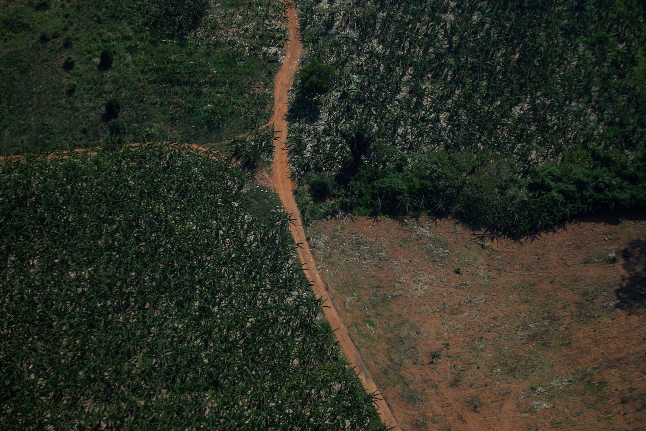 FILE PHOTO: An aerial view shows a deforested plot of the Amazon rainforest in Rondonia State, Brazil September 28, 2021. REUTERS/Adriano Machado