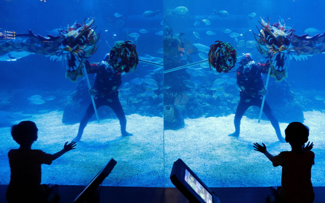 A child watches an underwater dragon show at the Jakarta Aquarium