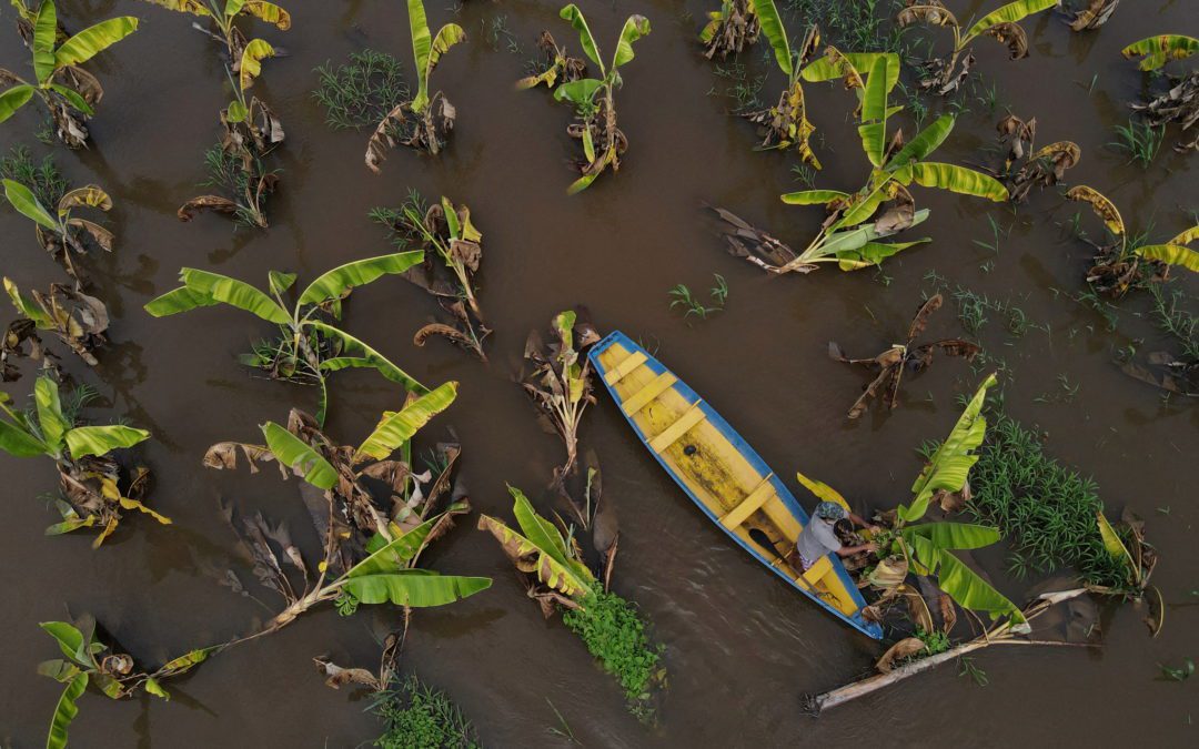 Aftermath of flooding in Brazil’s Amazonas state