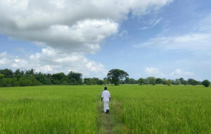 Sri lanka