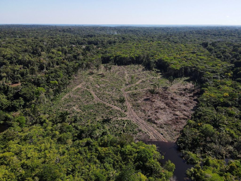 Reuters reveals U.S. aims to sanction Brazil deforesters, adding bite to climate fight