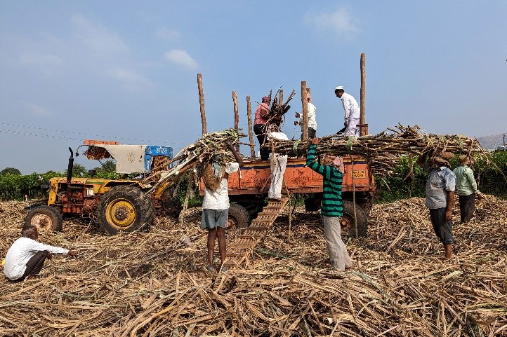 Reuters reveals that India is likely to keep a lid on sugar exports as output dips