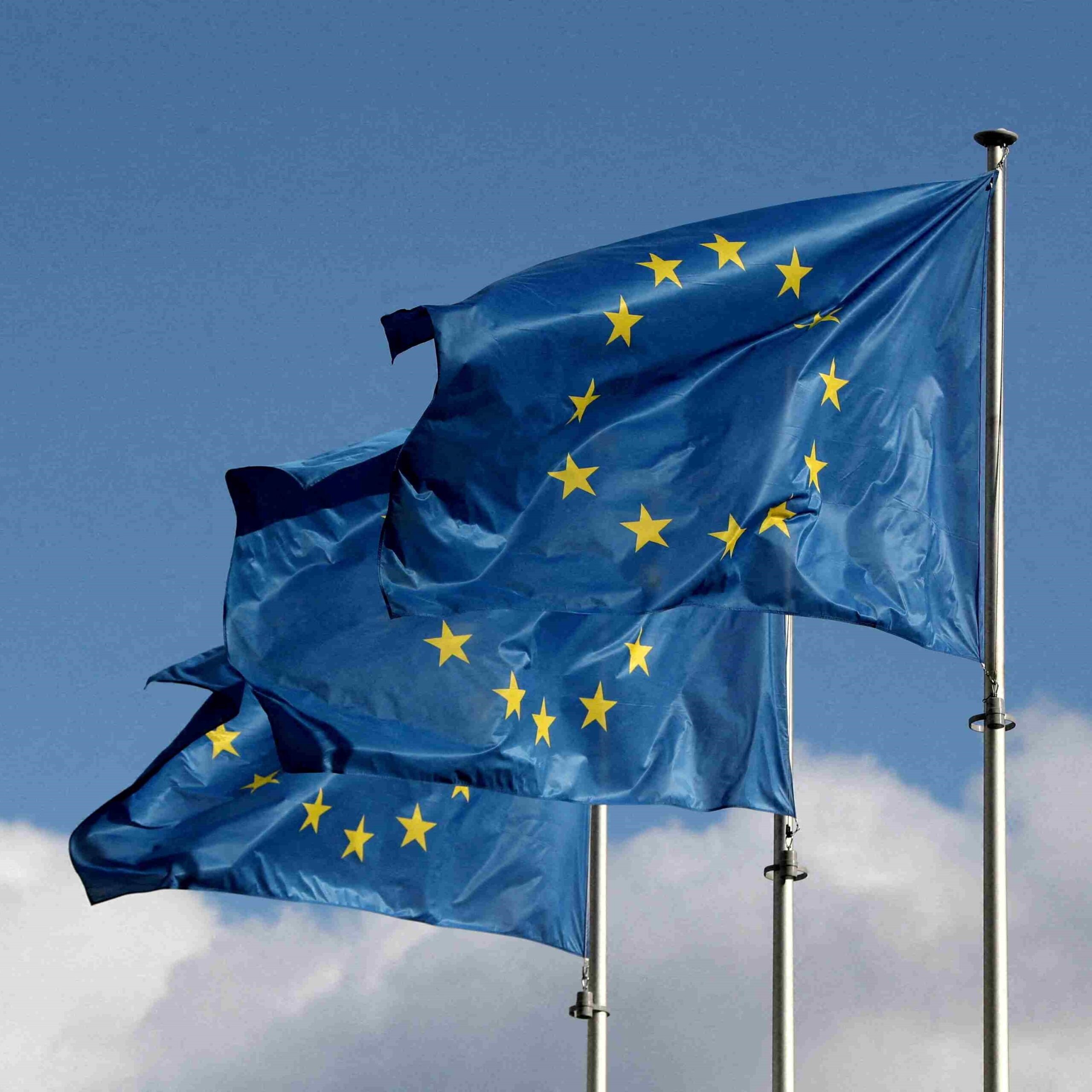 Edwards Lifesciences cooperating with EU antitrust regulators 